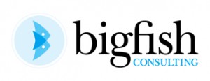 BigFish Consulting Logo